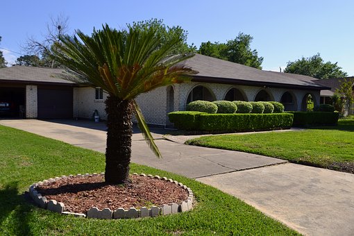 Reasons to Mulch Your Tree and Garden