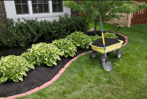 Reasons to Mulch Your Tree and Garden