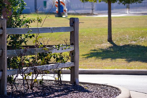 Reasons to Mulch Your Tree and Garden