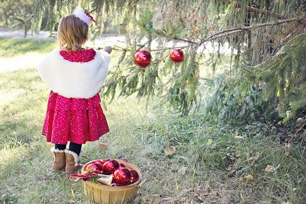Decorate your Outdoor Holiday Trees with a Personal Touch