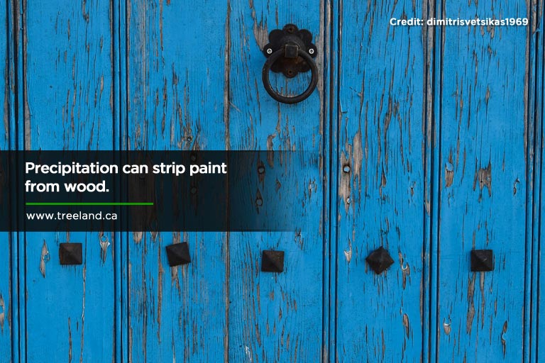  Precipitation can strip paint from wood