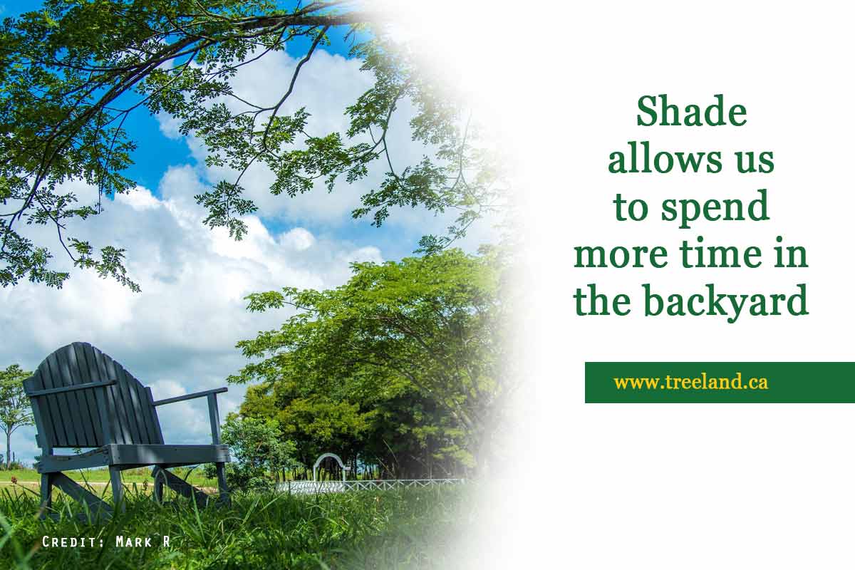 Shade-allows-us-to-spend-more-time-in-the-backyard